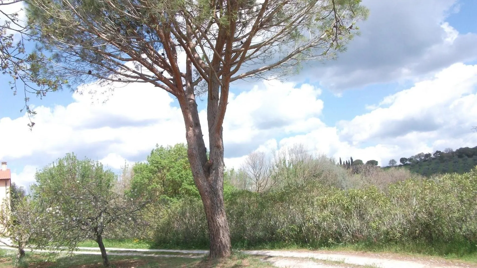Casa Vacanze Valdicciola Suvereto
