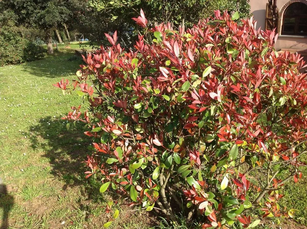 Casa Vacanze Valdicciola Suvereto 0*,  Italy